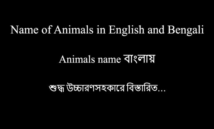 Name of Animals